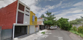 Morelia centrica
